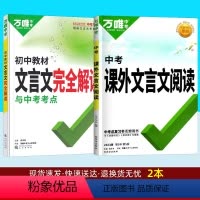中考[文言文]+[文言文完全解读]2本 八年级/初中二年级 [正版]2024版课外文言文阅读理解与训练七八九年级现代文阅
