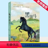黑骏马 [正版]黑骏马 打动孩子心灵的动物经典 儿童文学经典二年级三年级四五六年级小学生课外书阅读物故事书老师童书少儿童