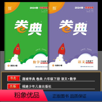 语数 六年级下 [正版]2024春天津 小学通成学典小学卷典六年级下册语文数学人教版区县期末真题模拟经典好题阶段测评6年