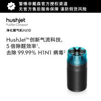 戴森DYSON空气净化器HJ10黑色