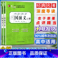三国演义 上下2册 [正版]经典名著深度导读三国演义上册下册全两册语文课程标准书目忠于原著解析透彻点评精当 导读准确苏州