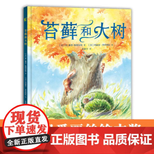苔藓和大树
