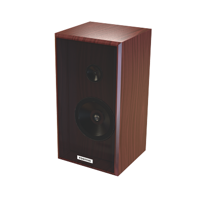 戴阳室内壁挂音箱（木质）（联系客服发货）