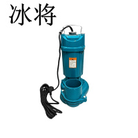冰将 220V高扬程污水泵深井泵 台