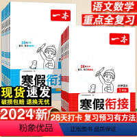 [语文+数学]2本套寒假衔接 小学一年级 [正版]2024版一本寒假衔接语文数学一年级三 四 五六 二年级人教版阅读理解