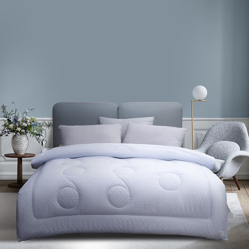 水星家纺 DH悠然负离子四季被200cm×230cm/条