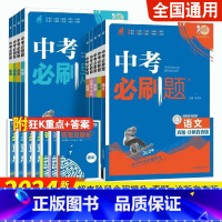[单本]英语中考必刷题 全国通用 [正版]2024版中考合订本语文数学英语物理化学生物地理道德与法治历史九年级上下册初中