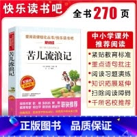 苦儿流浪记 [正版]苦儿流浪记小学生四五六年级课外书必读班主任 阅读人教版天地出版社人民文学的原版图书语文书目四年级