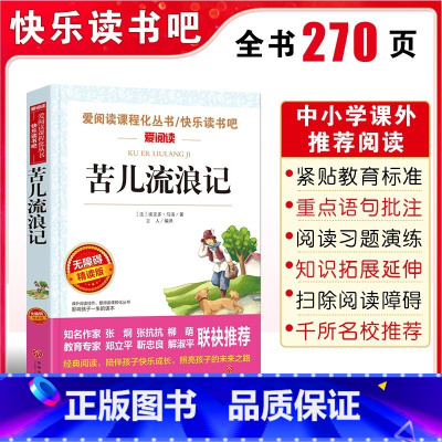 苦儿流浪记 [正版]苦儿流浪记小学生四五六年级课外书必读班主任 阅读人教版天地出版社人民文学的原版图书语文书目四年级