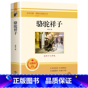 骆驼祥子 [正版]朝花夕拾西游记原著骆驼祥子海底两万里昆虫记钢铁是怎样炼成的艾青诗选水浒传简爱儒林外史初中七八九年级全套