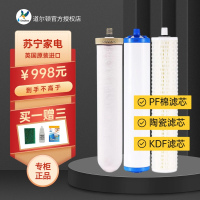 道尔顿(Doulton)DIP301/DCP203专用滤芯套装 M12 KDF PF家用净水器滤芯 DIP301-滤芯套