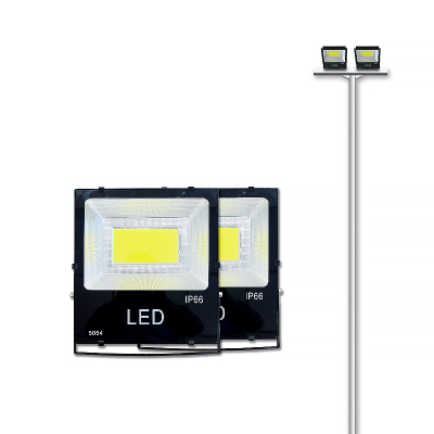 格瑞捷8米杆带直支架200W灯具2盏 套