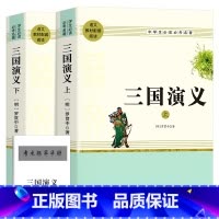 [完整版无删减]三国演义 上下2册 [正版]完整无删减2464页四大名著全套原著青少年高中初中生版三国演义西游记水浒传红