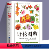 [正版]野花图鉴常见花卉园林植物识别图鉴 张彦妮贺风春园林花草树木植物野花野外识别鉴赏速查手册图谱图鉴百科全书花卉养殖