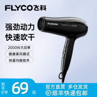 飞科FLYCO 2000瓦电吹风 FH6231 3档冷热风护发便携折叠-25