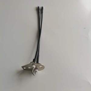 帮客材配 全新原装惠而浦燃气热水器点火针JSQ25-T13J T13J 16CH 13NS收前务必验货