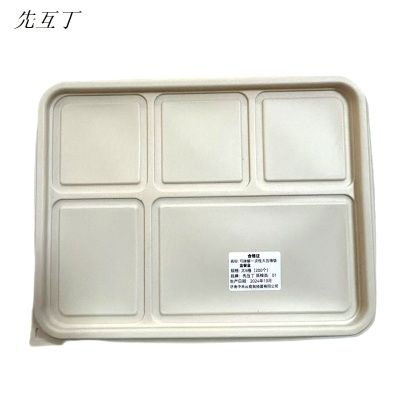 先互丁 可降解一次性小五格饭盒餐盒 小5格(200个)箱