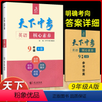 英语核心素养9年级A版 九年级 [正版]天下中考英语核心素养提升九年级A版 武汉出版社初中9年级英语专项训练完形填空阅读