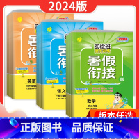 语文-人教 小学一年级 [正版]24版实验班暑假衔接一升二升三四五六年级下册上册语文数学英语人教苏教北师大版小学生小升初