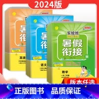 语文-人教 小学一年级 [正版]24版实验班暑假衔接一升二升三四五六年级下册上册语文数学英语人教苏教北师大版小学生小升初