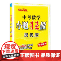 中考数学小题狂做 提优版 2024
