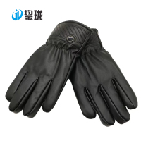 鋆珑 加绒保暖防风皮棉手套 JL-DZ02 副