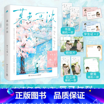 [正版]书店暮色正浓 厘子与梨 绒花非遗传承人许知恙×星球研究大神陈恙 双向暗恋小甜饼 全程高甜 晋江文学 青春文学书