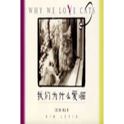 我们为什么爱猫