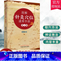 单本全册 [正版] 图解针灸穴位速查手册 睢明河 主编 穴位定位 穴名索引 十四经脉书籍 经络穴位书籍 中医书籍 中