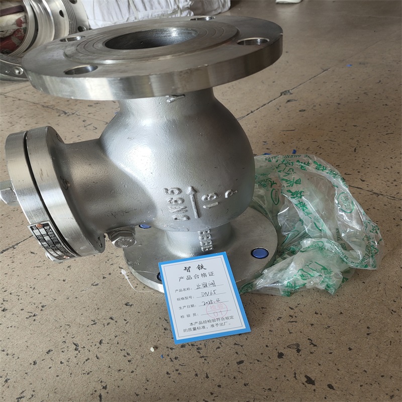 智铁 止回阀 DN65 个