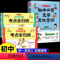 [全2册]初中文学+名著考点 初中通用 [正版]全套2册中考名著考点全归纳 七八九年级上下册初中生中考必读12本名著语文