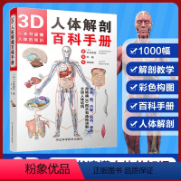 [正版]3D人体解剖百科手册 水岛章阳 人体解剖学彩色学图谱 人体解剖学入门书 西医解剖学外科医生用书 实物图谱解剖学