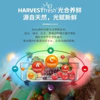 倍科(beko)545L对开门冰箱 风冷无霜 光合养鲜 四星级冷冻室 GN1546BG