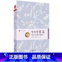 [正版]中小学古文评点及教学建议 大夏书系 古文教学工具书 赵希斌 章靓靓 张宁