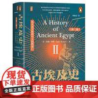 古埃及史(第二卷)-从大金字塔到中王国的衰亡
