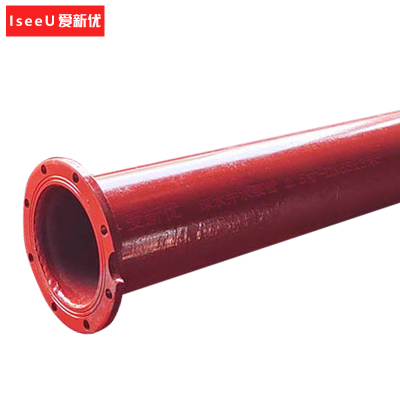 爱新优 深水井水泵管2.5寸-DN65x3米 根