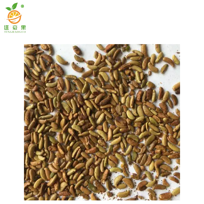 廷豪果 紫穗槐带壳种子 净籽 /千克