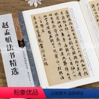 [正版]古代经典碑帖善本 赵孟頫法书毛笔软笔行书碑帖书法练字帖 附旁注 局部原寸图 通篇释读 历代集评 傅如明主编 浩