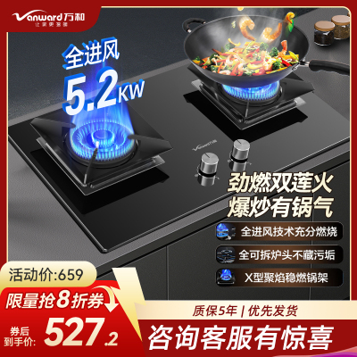 万和(Vanward) 一级能效 天然气双灶 双眼燃气灶 单灶具 5.2KW火力钢化玻璃 可调底座C5L90S