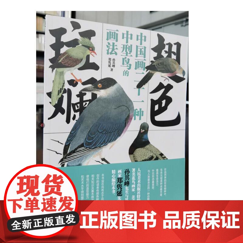 翅色斑斓 中国画21种中型鸟的画法