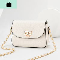 女包2020新款潮ins韩版百搭小包包女士洋气单肩斜挎包链条小方包NEW LAKE女斜挎包