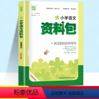 [正版]通城学典小学语文资料包全国通用人教版一年级二年级三年级四五六年级上册下册小学生1-6年级知识大全基础知识手册集