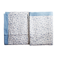 步宽 天丝莫代儿夏凉被 200cm*230cm/床