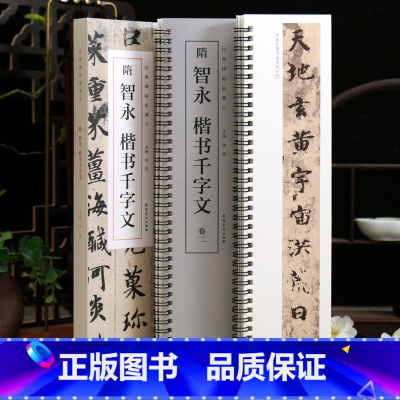 共2本 智永楷书千字文 [正版]学海轩共2本智永楷书千字文碑帖临摹卡原色原帖简体旁注洪亮编放大单行智永楷书字卡毛笔书法字