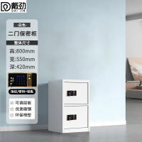 戴劲保密柜铁皮文件柜带锁储物柜资料办公室保险柜二门指纹锁