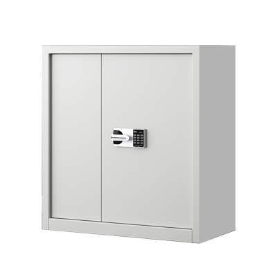 正斌指纹电子保密柜钢制密码文件柜档案柜矮柜保密资料柜办公柜单节白色:国保锁