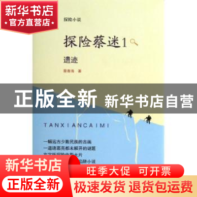 正版 探险蔡迷:1:遗迹 蔡春海著 中央广播电视大学出版社 9787304
