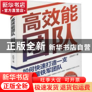 正版 高效能团队:如何快速打造一支高能量铁军团队 沈柏宇 中国