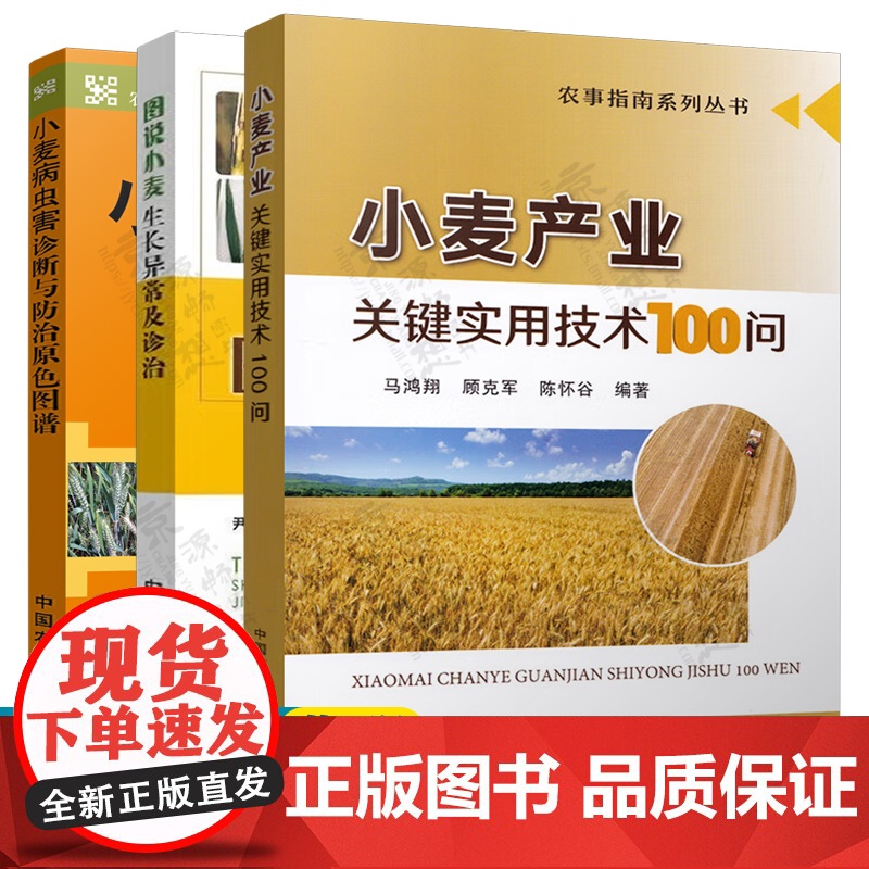 小麦种植技术大全 小麦产业关键实用技术100问 图说小麦生长异常及诊治 小麦病虫草害诊断与防治原色图谱 小麦种植书籍