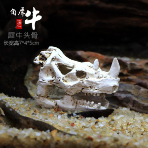 仿真恐龙骷颅头骨躲避屋树脂假山水造景头骨鱼缸水族箱装饰摆件
